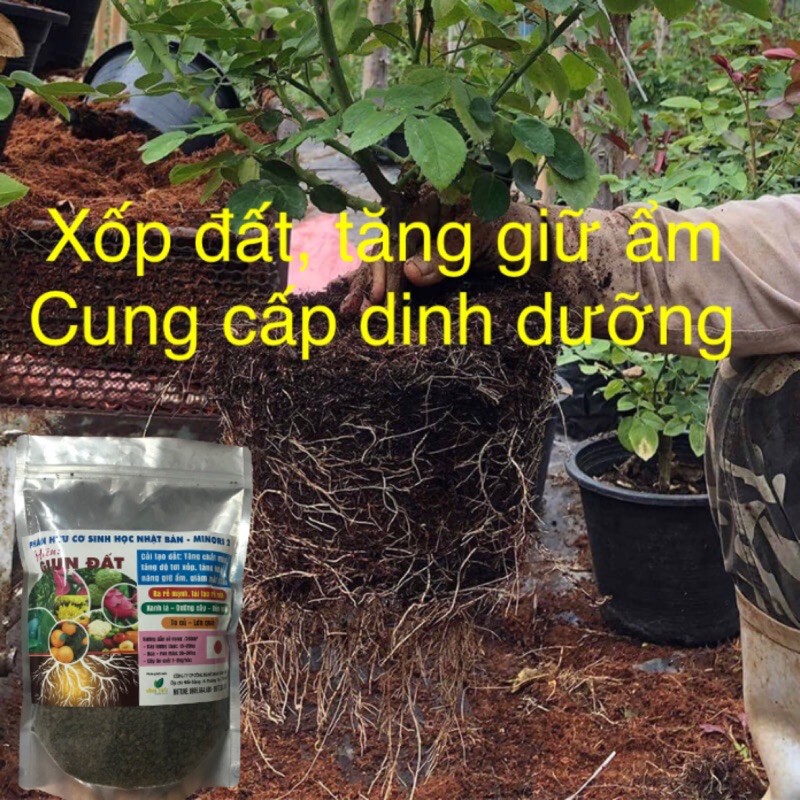 Phân Gà Nhật Bản- Phân Hữu Cơ Sinh Học Minori 2 Chuyên Hoa Hồng, Cây Cảnh, Rau màu