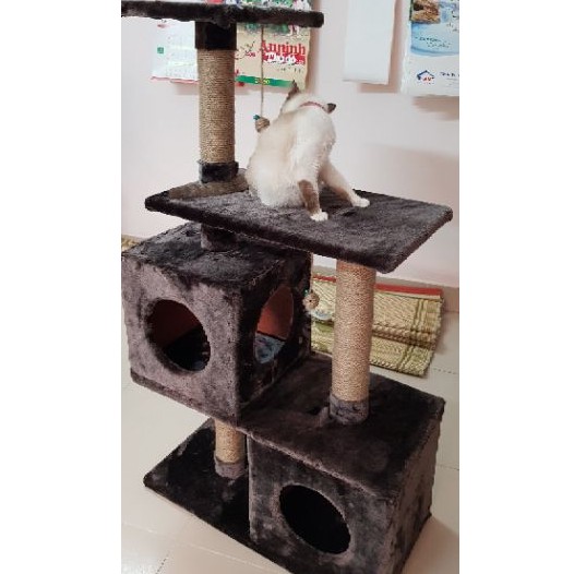 Nhà Mèo Khổng Lồ 😻 FREESHIP 😻 Inbox Shop để được giảm giá