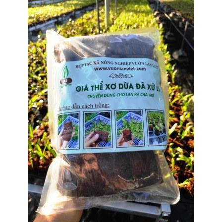 Xơ dừa chuyên dùng cho trồng cây hoa lan cấy mô
