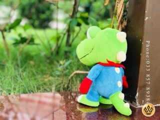 GẤU BÔNG  KHUNG LONG CRONG