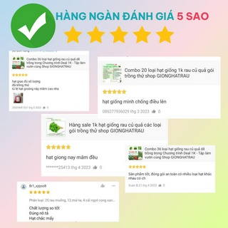 Hạt giống rau củ quả các loại shop GIONGHATRAU gói 1 đến 50g