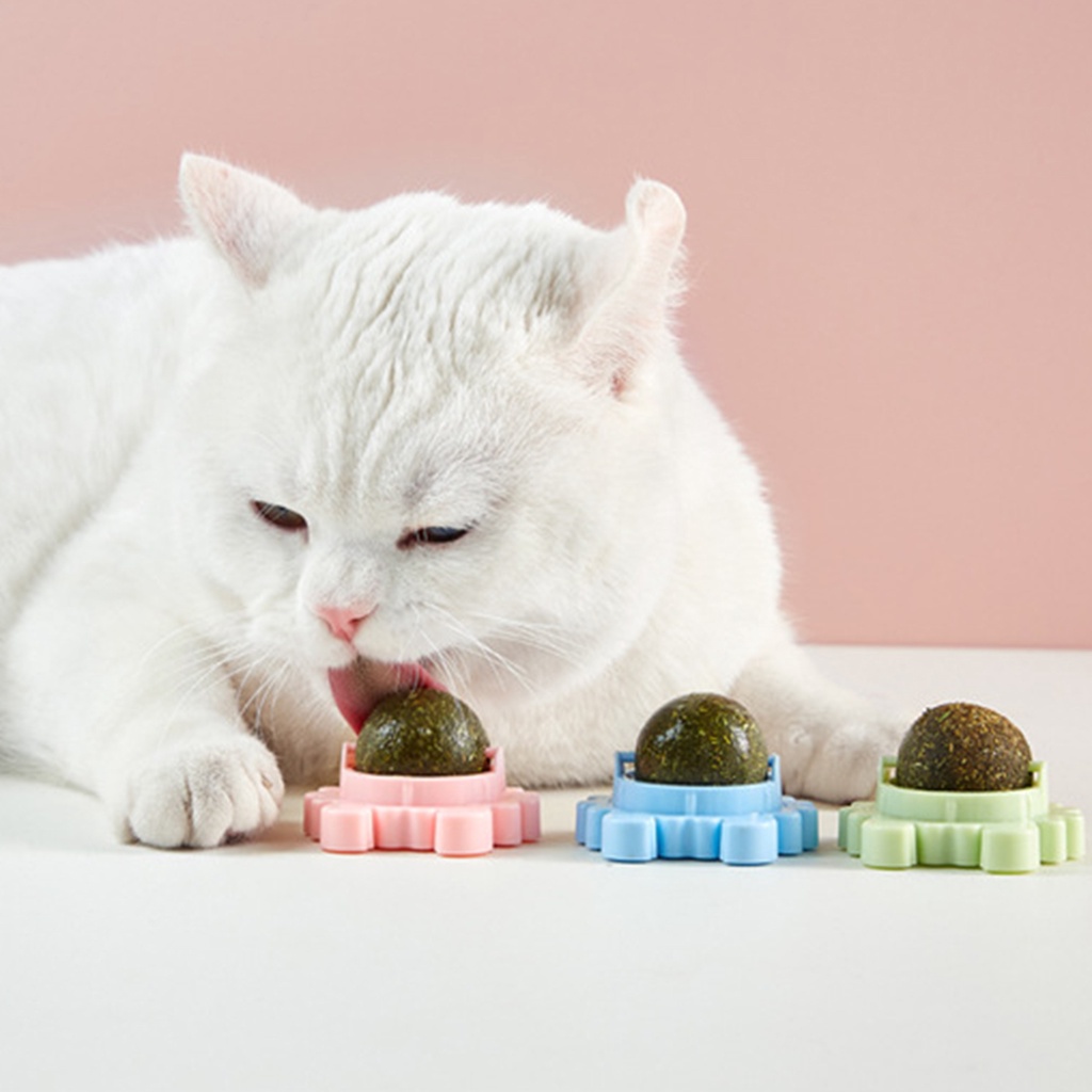 CATNIP - Viên Cỏ Bạc Hà Cho Mèo Gắn Tường Giảm Stress - Hỗ Trợ Tiêu Hóa - Tiêu Búi Lông