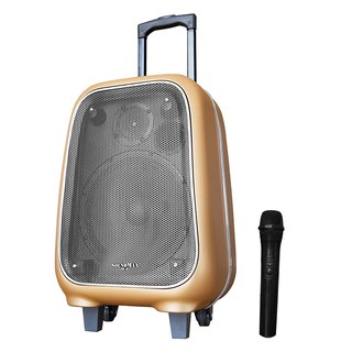 Loa bluetooth soundmax m6 4.0 80w kèm micro hàng chính hãng