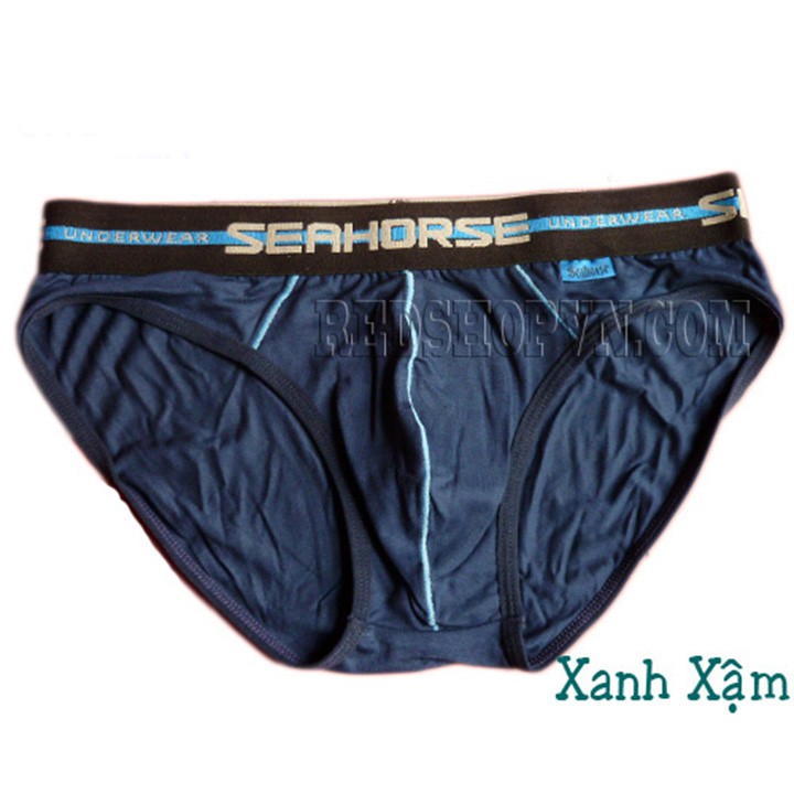 Quần lót bikini nam SH042