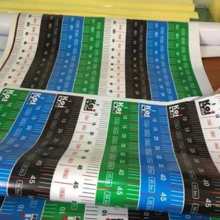 Thước decal đo cá