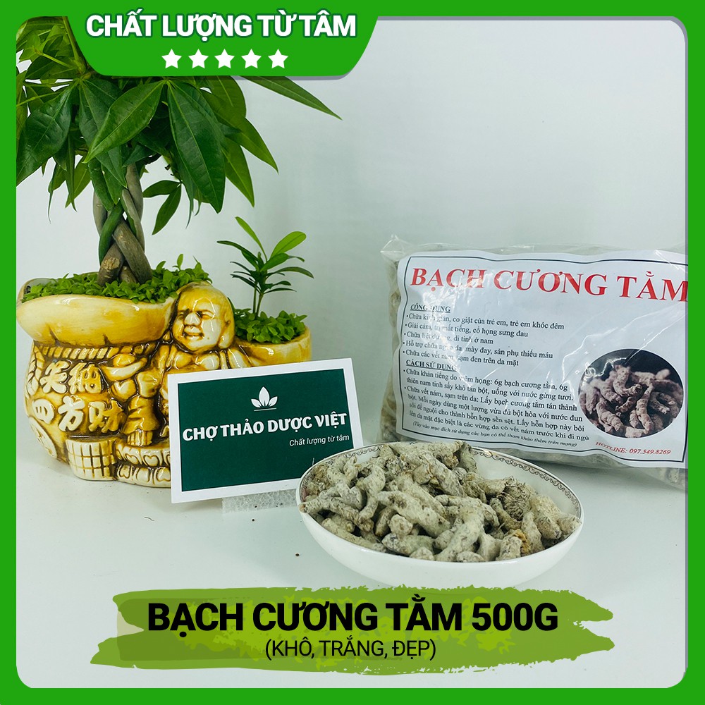 [Giá sỉ] 500gr Bạch Cương Tằm (Khô, trắng, đẹp)