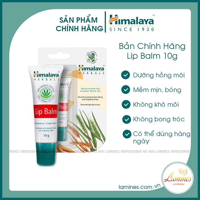 [Bản Chính Hãng] Son Dưỡng Himalaya Hồng Môi Chiết Xuất Cà Rốt Và Mầm Lúa Mạch | Himalaya Lip Balm 10g