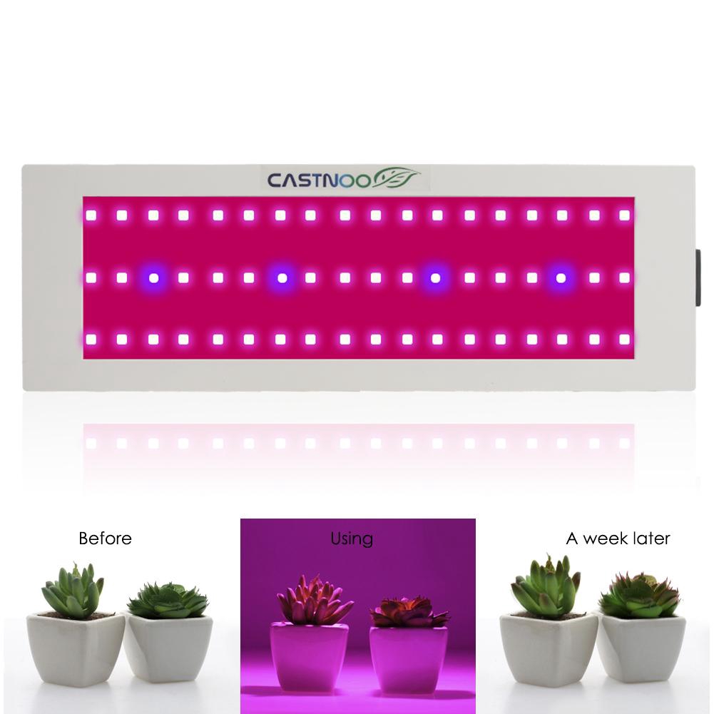 Bộ đèn LED hỗ trợ quang hợp 300W tiện dụng trồng cây trong nhà