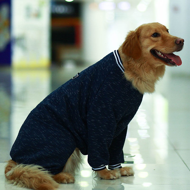 Quần áo cho thú cưng, Golden Retriever, Labrador, Alaska, chó, chống rụng lông, bảo vệ khớp, dài tay bốn chân