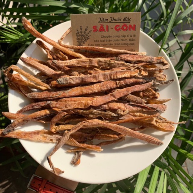 Con Sà Sùng Biển Sạch Cát 100g