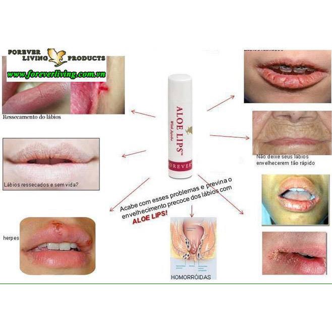 Son Dưỡng Môi Aloe Lips with Jojoba 022 FLP | BigBuy360 - bigbuy360.vn