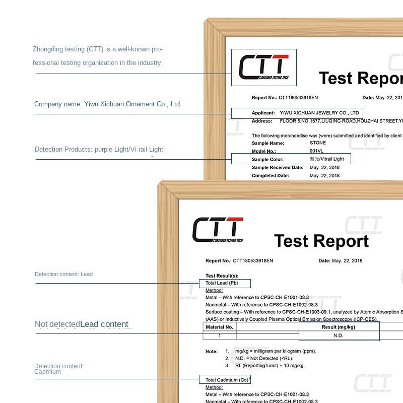 Phụ Kiện Trang Sức Vòng Cổ Xinh Xắn Dành Cho Nữ