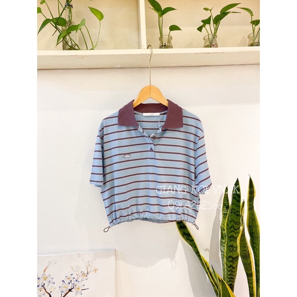 Áo Polo Croptop Rút Dây 𝗛𝗮̀ 𝗚𝗶𝗮𝗻𝗴 𝗩𝗻𝘅𝗸