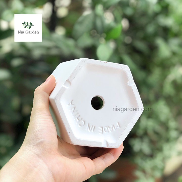 (Kèm dĩa) Chậu lục giác nhám dĩa rời trồng cây mini để bàn Nia Garden N1