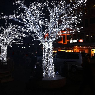 50M ĐÈN NHÁY BÓNG LED CHỐNG NƯỚC