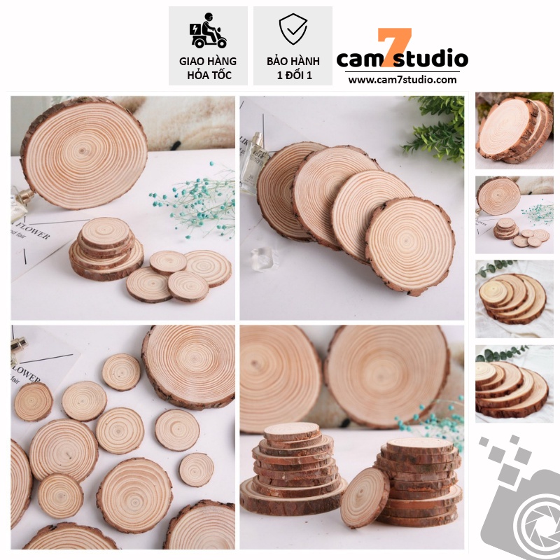 Miếng gỗ thông, trang trí, đạo cụ chụp ảnh - Cam7Studio.com