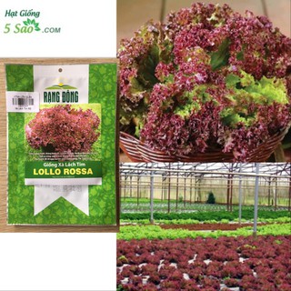 Hạt Giống Xà Lách Tím Lollo Rossa