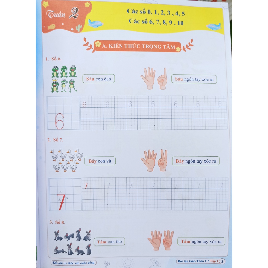 Sách - Bài tập tuần Toán lớp 1 tập 1 - Qbooks (Kết nối tri thức với cuộc sống)