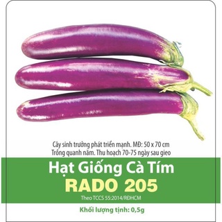 Hạt giống Cà tím gói 0.5gr