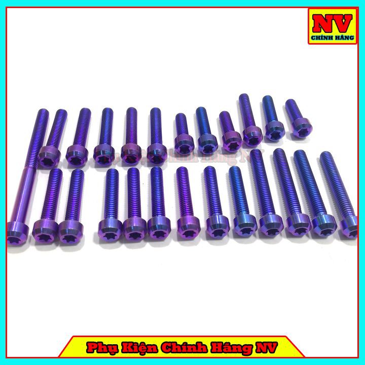 Bộ Ốc Lốc Máy Winner Gr5 Full Bộ 24 Con