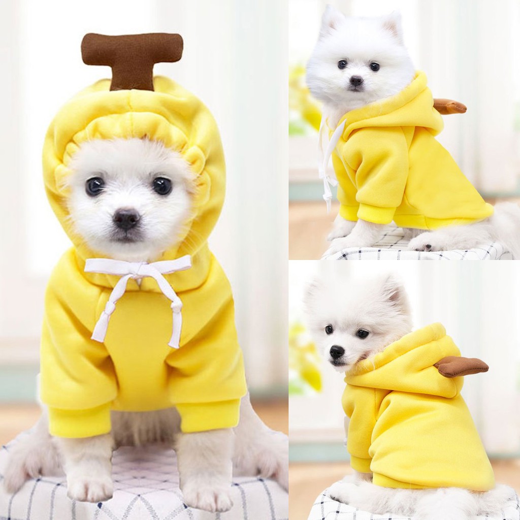 Áo sweater thiết kế màu trái cây dễ thương thời trang mùa đông cho thú cưng