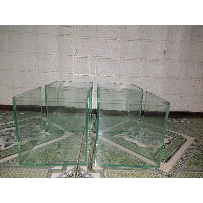 bể cá Betta bể mini để bàn bể show 151515.
