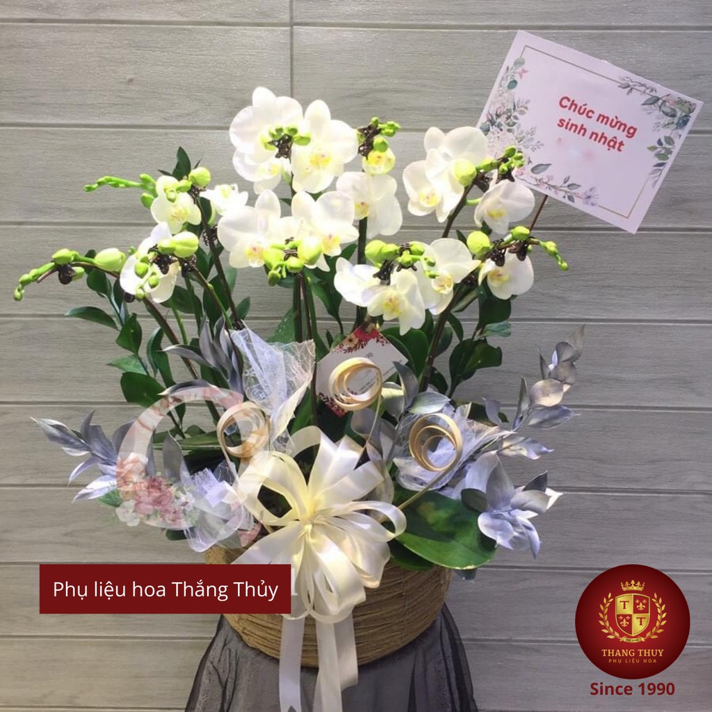Lẵng giỏ chậu đựng, hoa lan hồ điệp