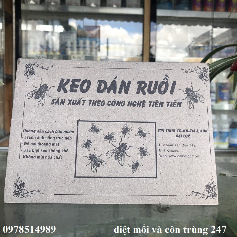 Combo 20 miếng keo dính ruồi