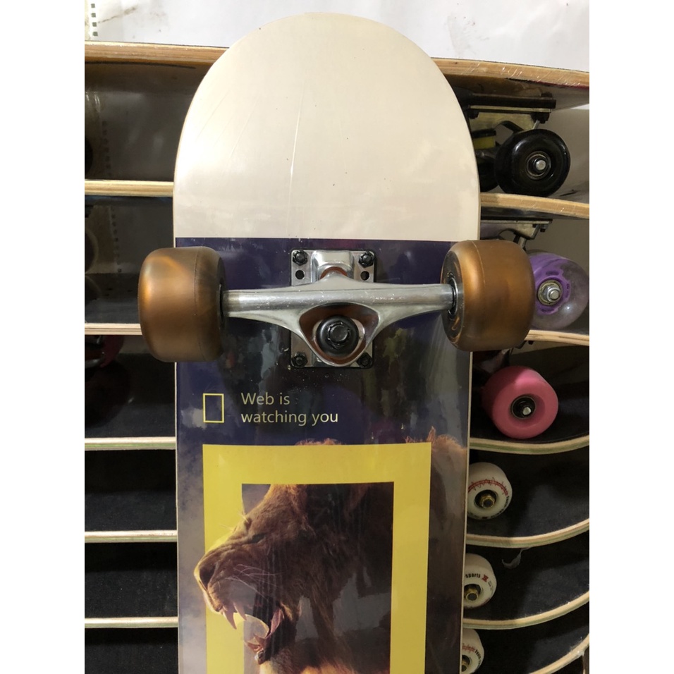 [Hàng Chính Hãng] Ván Trượt Cao Cấp Skateboard Mặt Nhám gỗ ép 7 lớp chịu lực