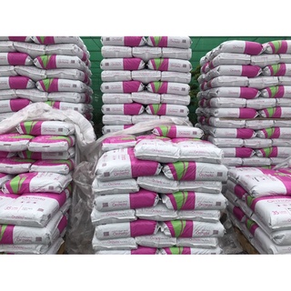 Vỏ Thông ORCHIATA - Size 9-12mm - Gói 1Kg - Giá Thể Trồng Cây