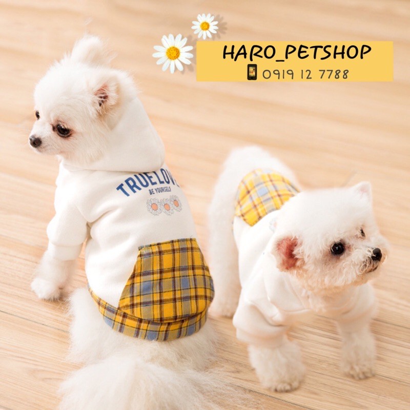 ÁO HOODIE HÌNH HOA CÚC CHO CHÓ MÈO - ÁO HÌNH HOA CÚC CHO THÚ CƯNG