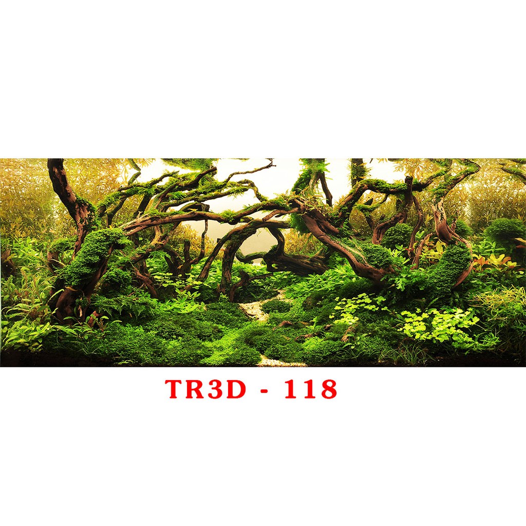 Tranh 3D bể cá mã Tr3D-118 kt ( 60,80,90,100,1m2,1m5,1m6 )