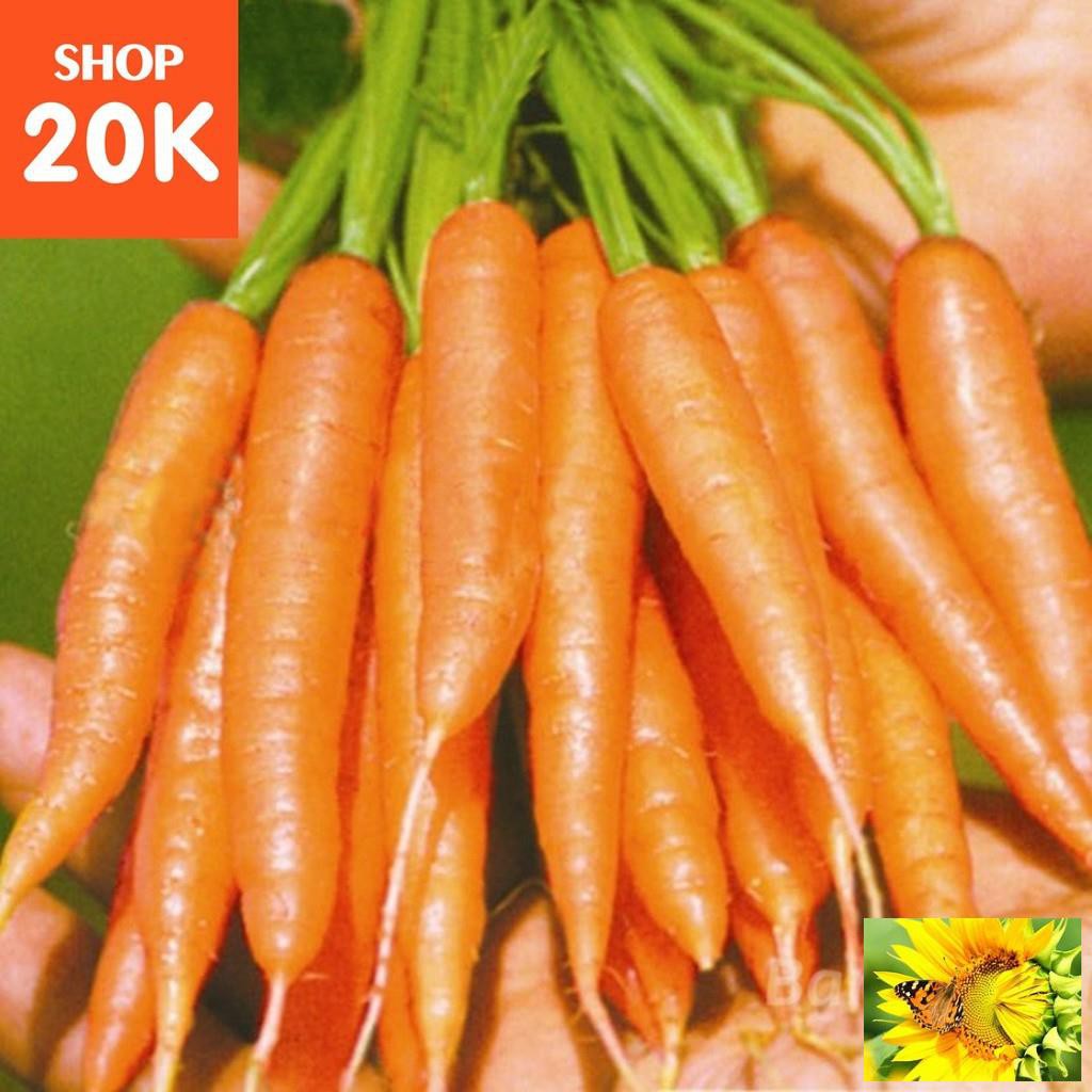 Hạt giống Cà rốt tí hon (0,2g)