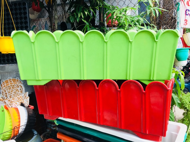 [Size Lớn] Chậu Nhựa Hàng Rào - chậu trồng cây trang trí sân vườn (nhựa tốt rất chắc chắn KT: D64xR25XC23)