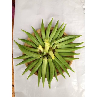 Hạt Giống Đậu Bắp RaĐo 60 (100gr)