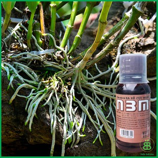 N3M Pro Siêu Ra Rễ Cực Mạnh 100ml