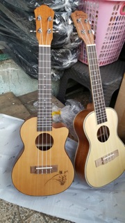 Ukulele gỗ có viền chỉ trắng (23 inch)