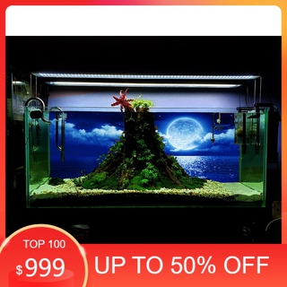 Tranh dán bể cá 3d nhiều kích thướt ( 60x40, 80x40, 80x50 , 90x50, 100x50...)