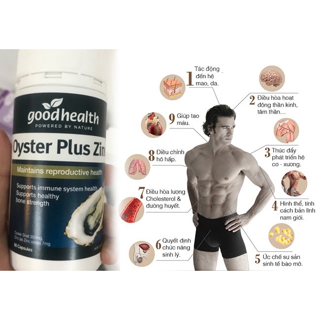 Viên uống tinh chất hàu tăng cường sinh lý nam Googheath Oyter Plus Zinc - EDS Hàng Mỹ