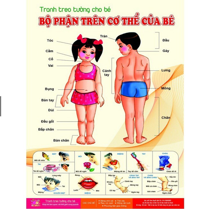 Bộ Tranh Treo Tường Có Rất Nhiều Chủ Đề Cho Bé, Giúp Bé Sớm Nhận Biết Thế Giới Xung Quanh - HD365