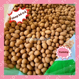 [Xả Kho] Đậu phộng da cá nước cốt dừa [500gr]