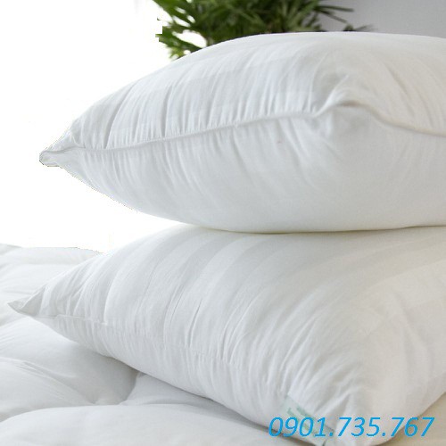 Ruột gối đầu bông trắng tinh khiết 45x65cm
