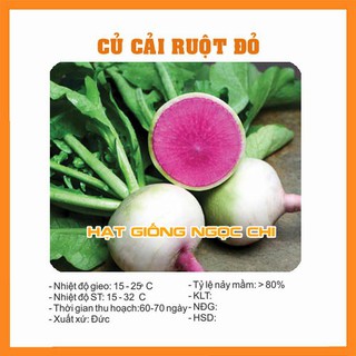 Hạt Giống Củ Cải Ruột Đỏ - 10 Hạt