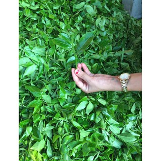 Chè Thái Nguyên Thượng hạng