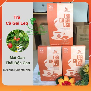 COMBO 3 Hộp Trà Cà Gai Leo Mát Gan-Diệt VRUT-Thải Độc Gan-THÁI HƯNG 25 TÚI LỌC 5GR