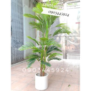 Cây Dừa thân gỗ cao 1m6 không kèm chậu- Cây Cảnh Giả