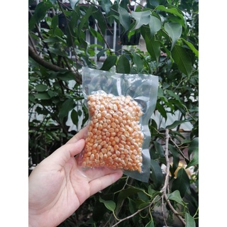 100 gram bắp nổ