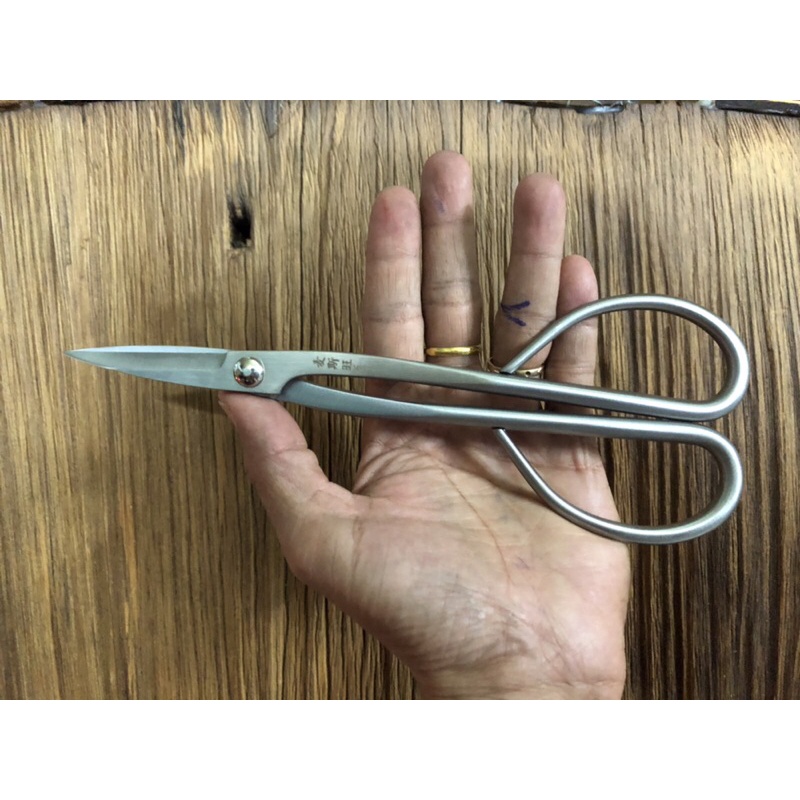 Kéo cắt mở túi Trà-Thép Trắng. Kéo cực tốt, bền- chống sét, rỉ.