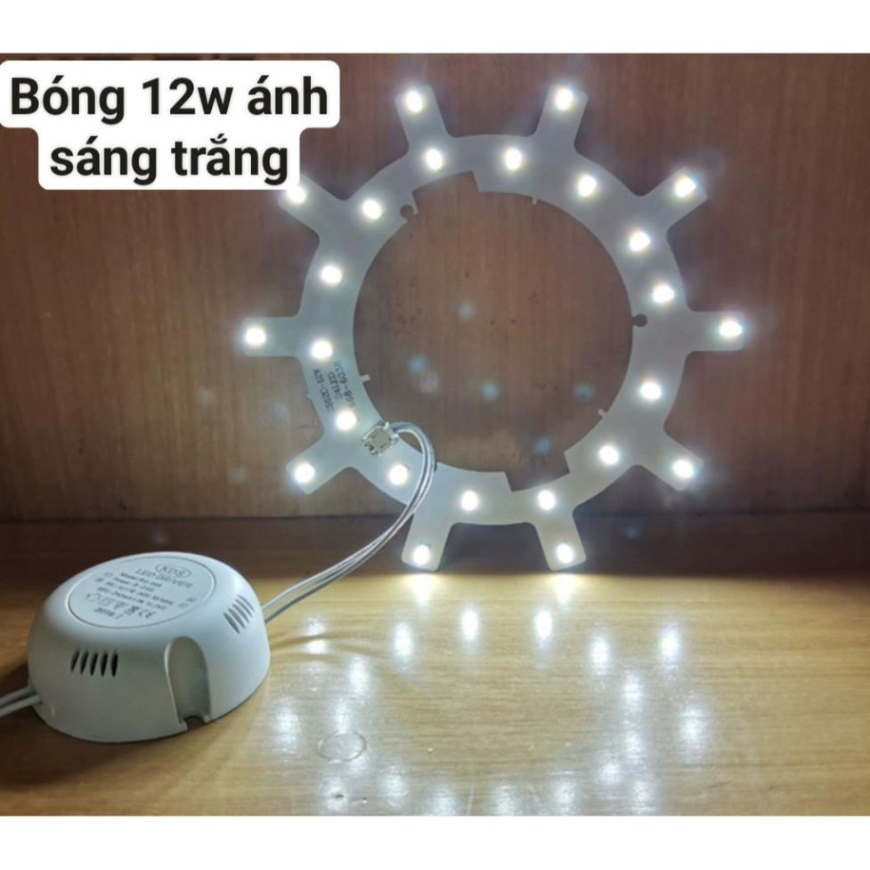 BÓNG VÒNG LED CHO MÂM ỐP TRẦN CÔNG SUẤT 12W-18W _ 24w SỬ DỤNG THAY THẾ CHO BÓNG HUỲNG QUANG KIỂU CŨ
