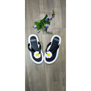 Dep chọn live 89k